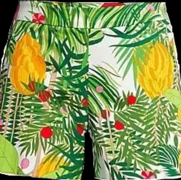 Shorts - Picture 2 of 2